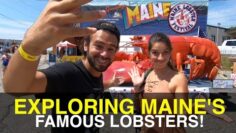 Exploring Maines Famous Lobsters!