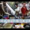 JIMBARAN FISH MARKET IS ONE OF TOP FISH MARKETS IN INDONESIA