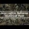 Louisianas Swamp- Jean Lafitte National Barataria Preserve