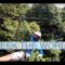 New Zealand: Whizzing Down NZ’s Only Native Forest Zipline Canopy Tour