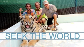 The Tiger Kingdom – Petting and Taking Photos with Tigers! Rawr!